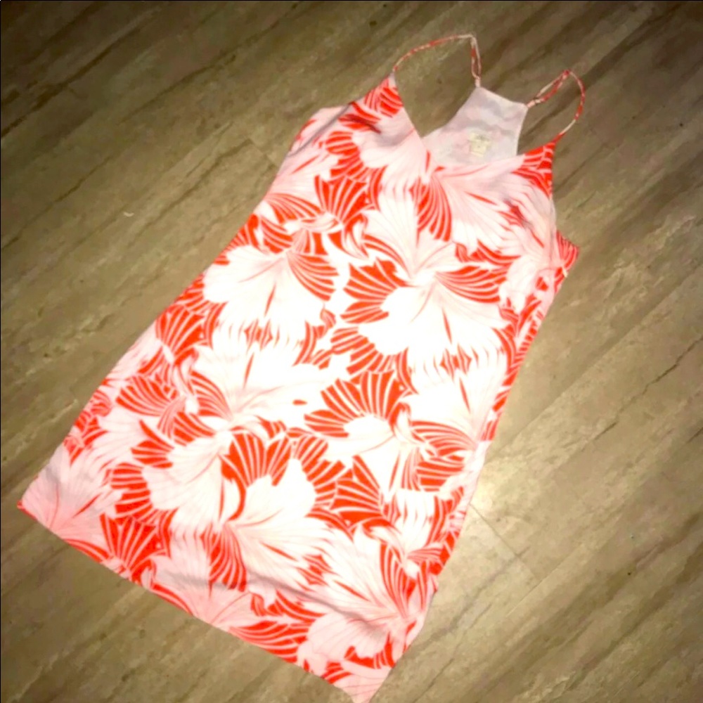 J. Crew dress